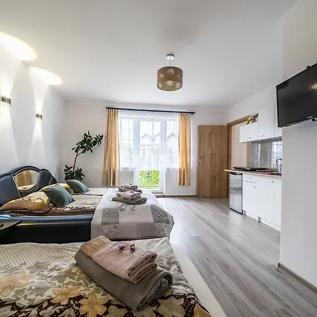 Blizniak Władysławowo